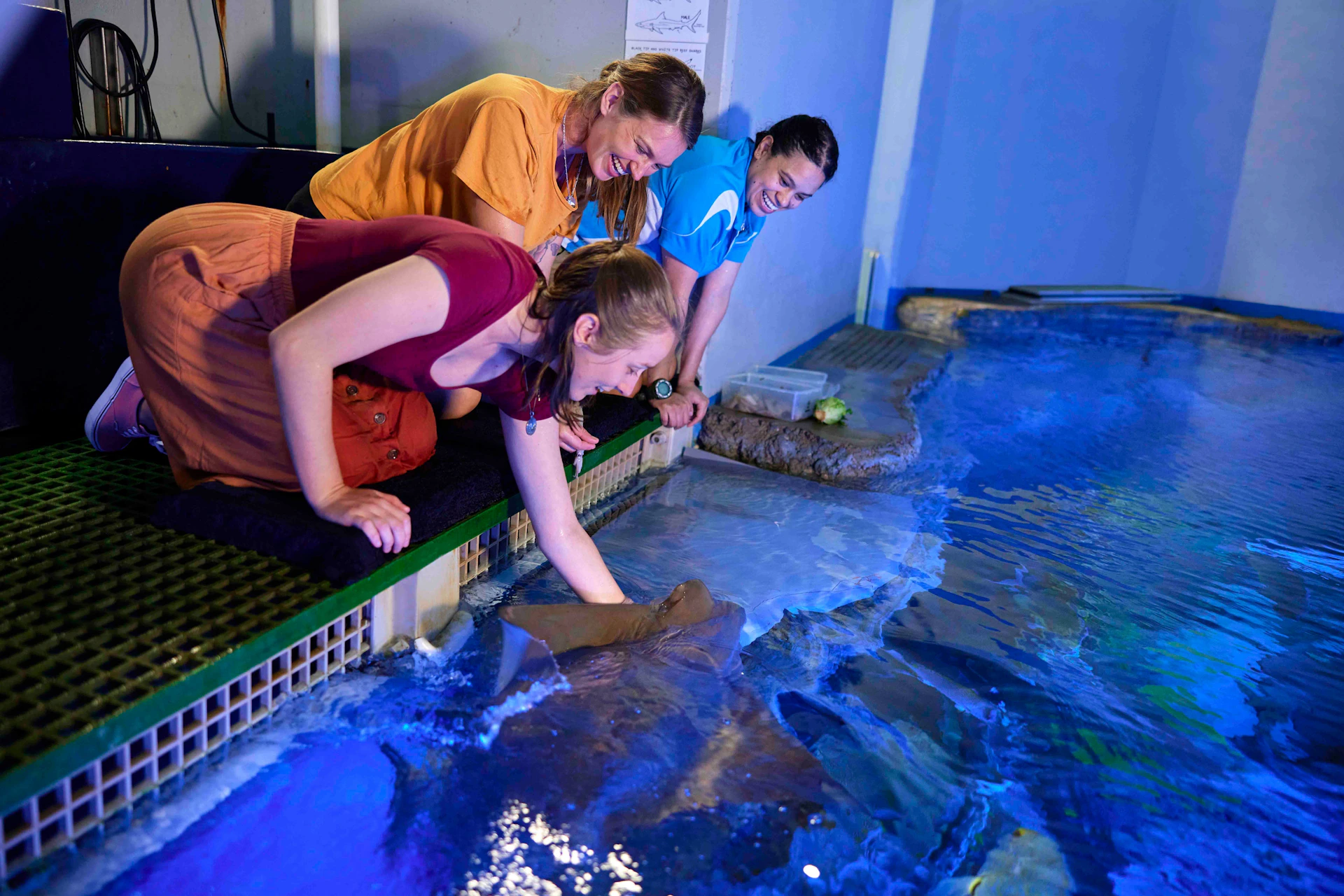 Three people smiling and leaning over to touch a stingray in a water tank under blue lighting at an aquarium.