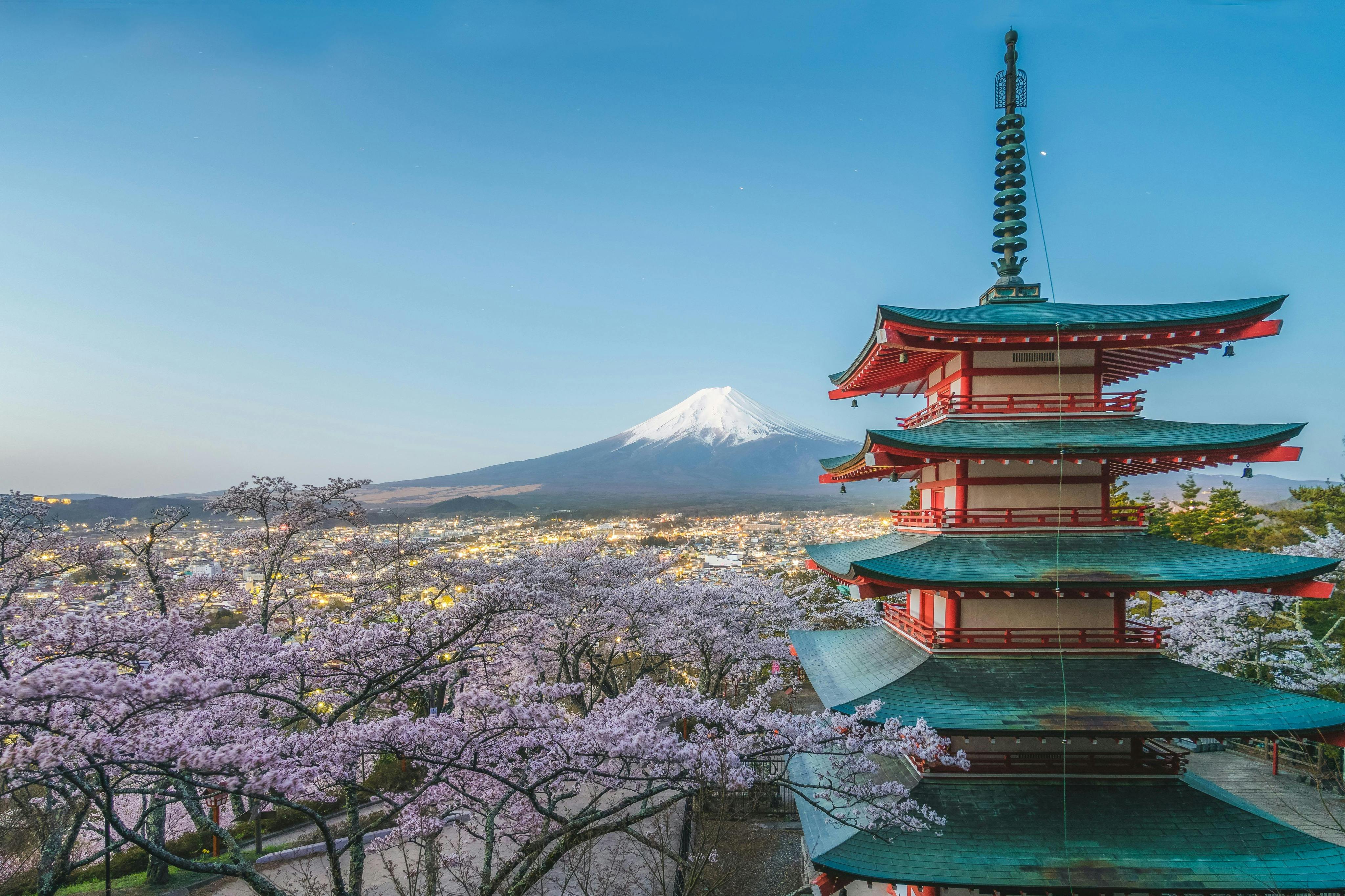 Monte Fuji e Gotemba Premium Outlets: Visita guiada de um dia a partir de Tóquio + Cerimónia do Chá - Photo 2