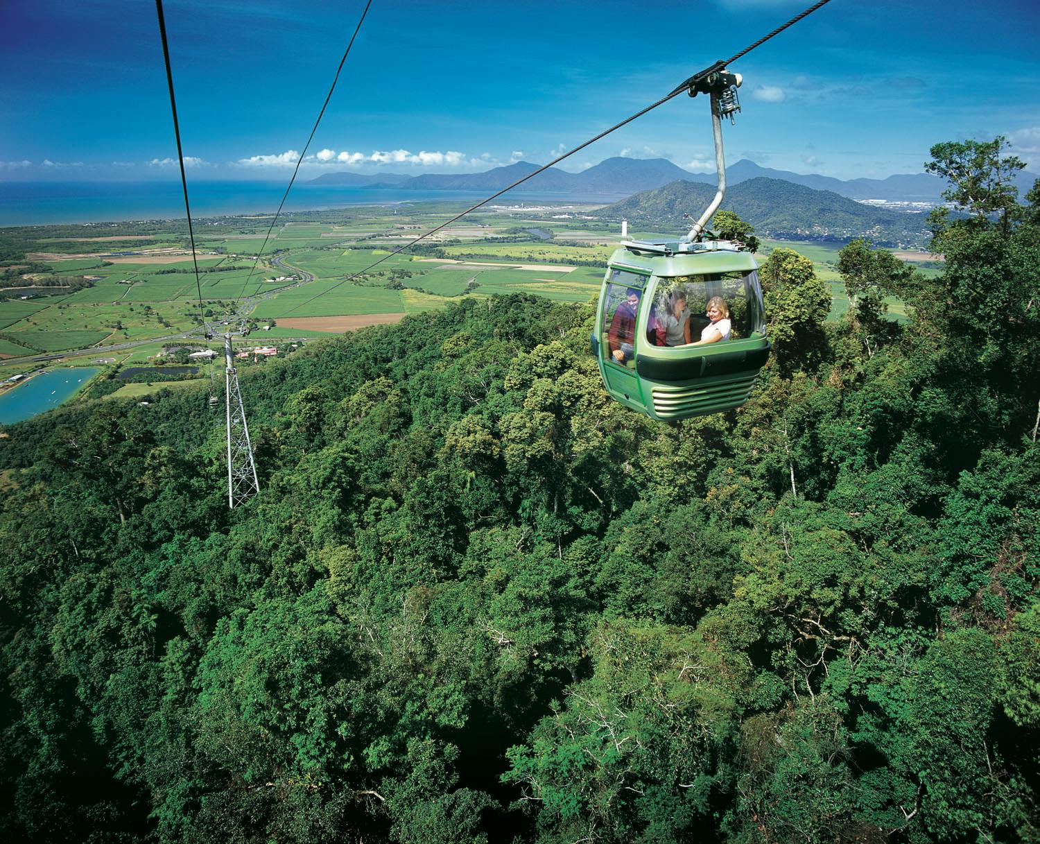 A green cable car with passengers travels over a lush forest with mountains and a coastline in the background.