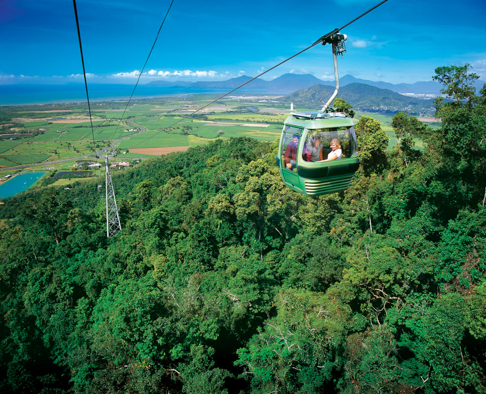 A green cable car with passengers travels over a lush forest with mountains and a coastline in the background.