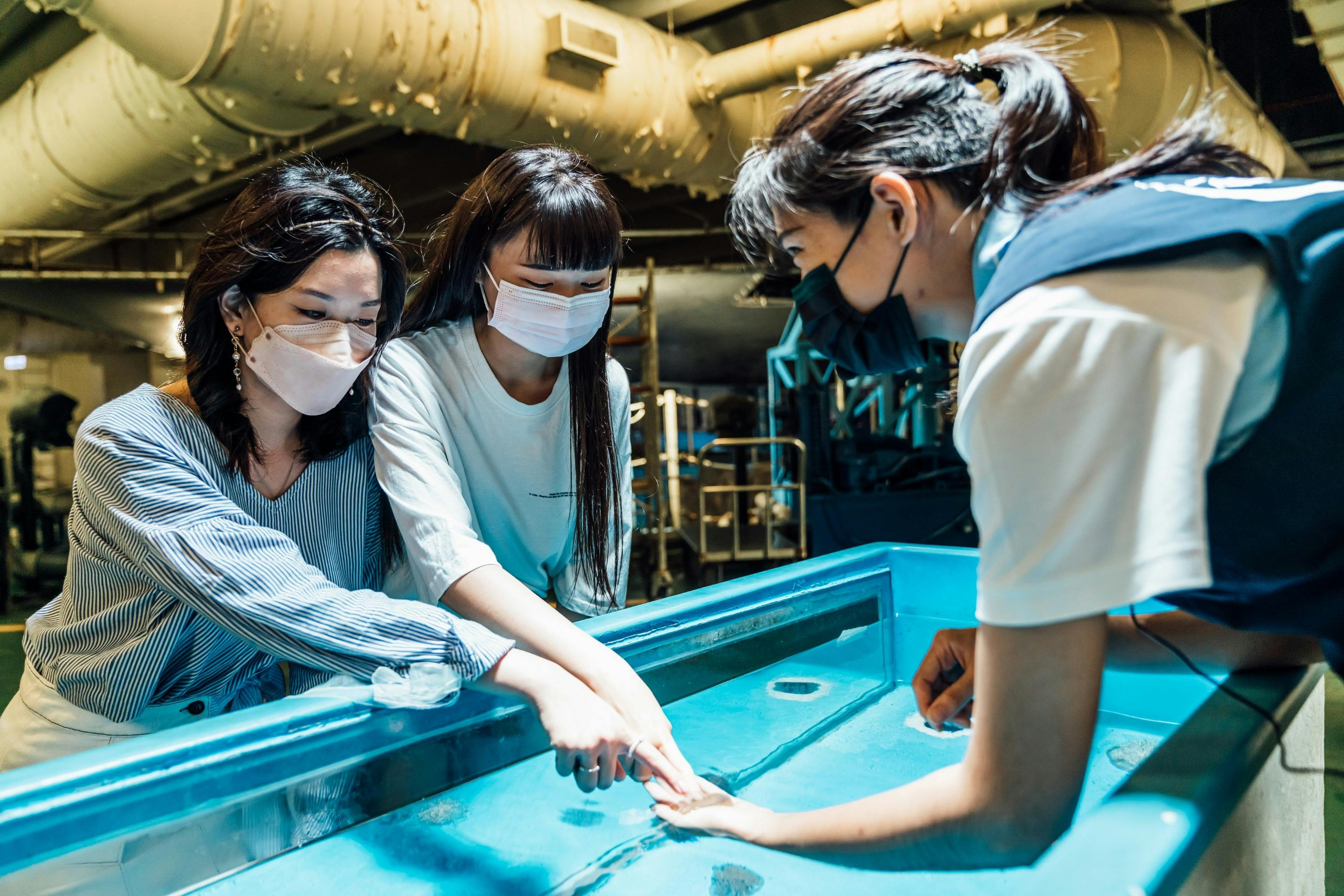 Three individuals wearing masks interact with a touch pool in an indoor aquarium setting.