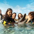 Atlantis The Palm - опыт с дельфинами