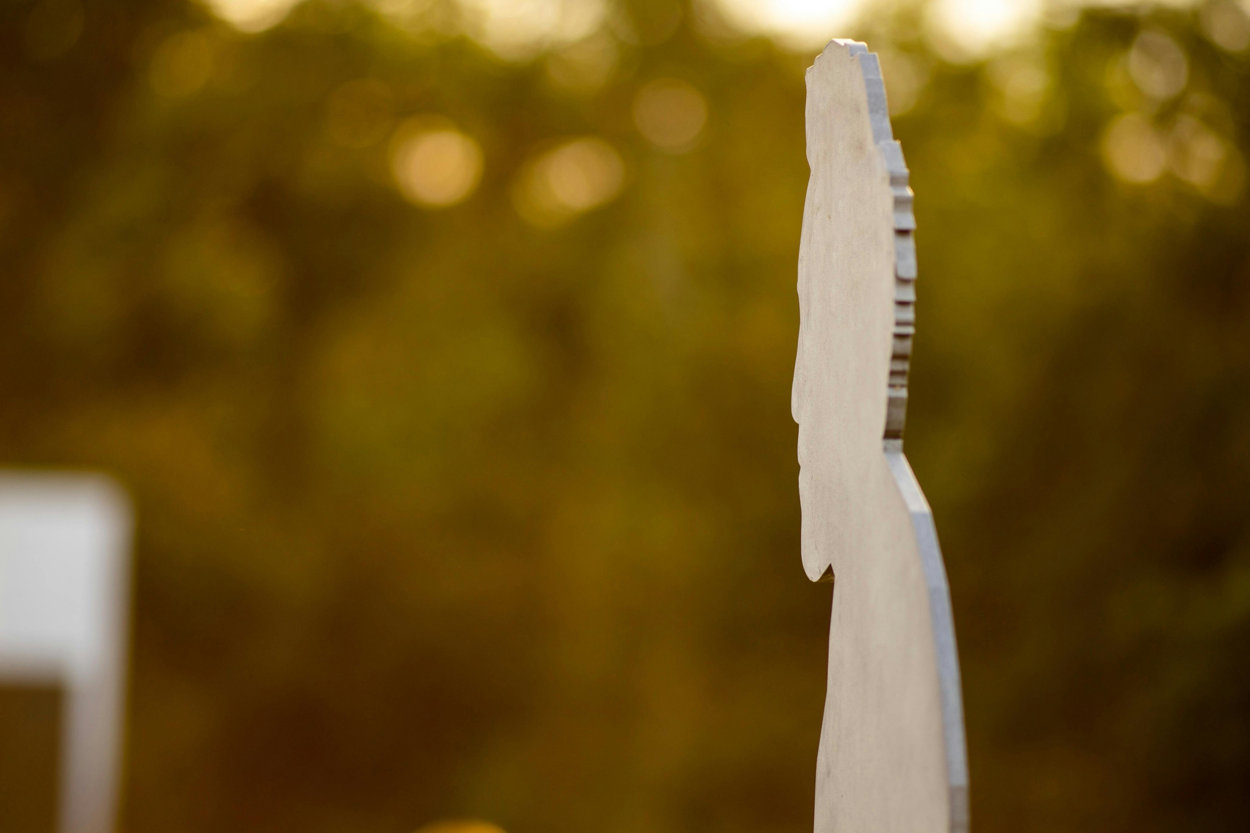 Permanent spectators at the Amphitheatre