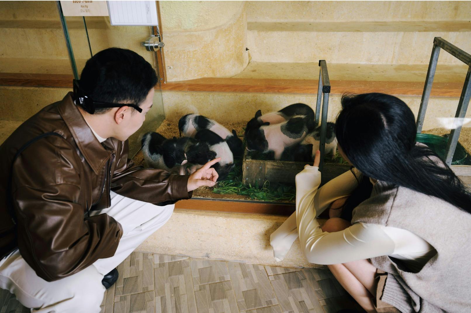Two adults observing piglets in an indoor enclosure through a glass panel. The piglets are feeding on greenery.