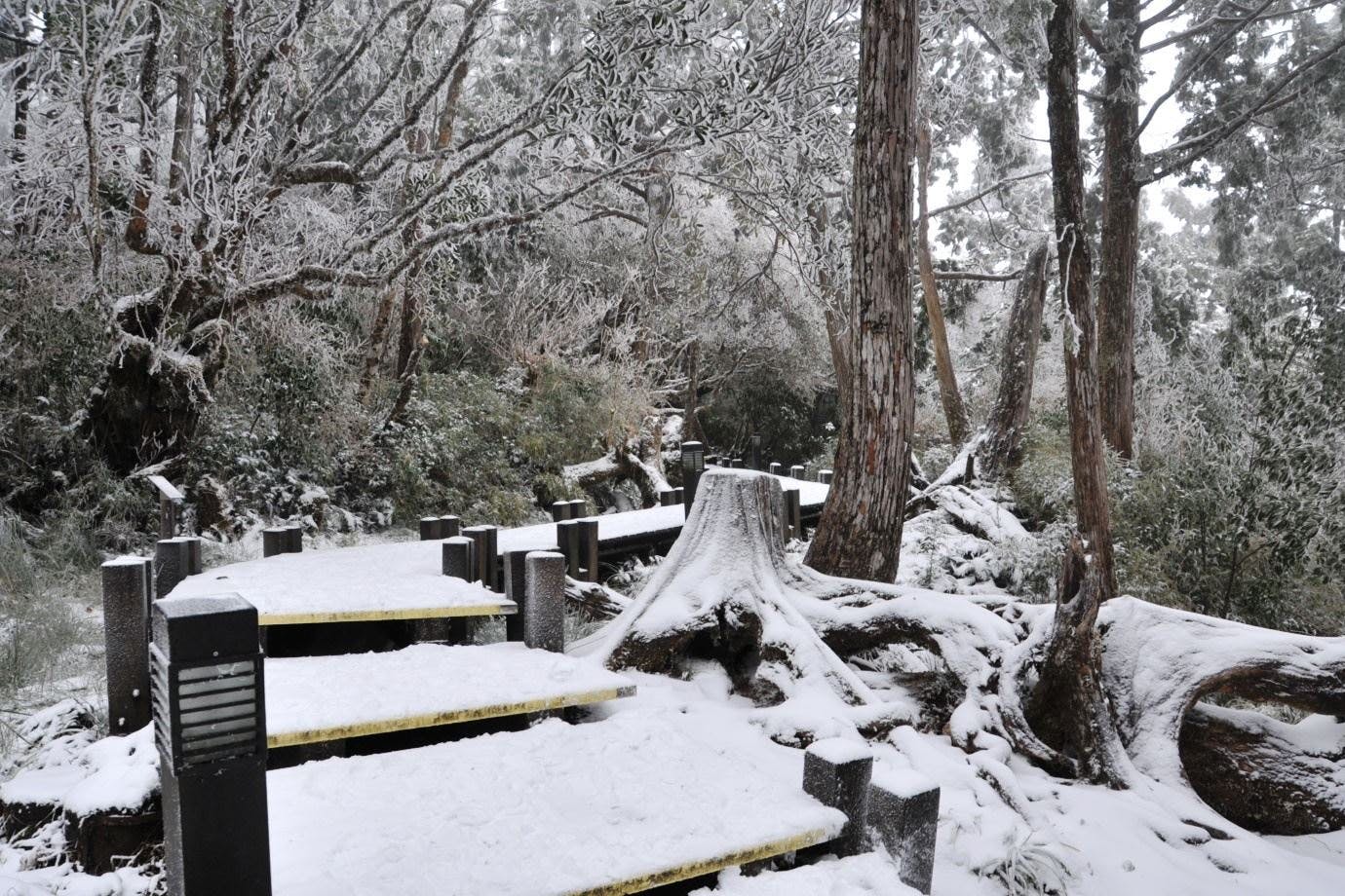 Taipingshan National Forest Recreation Area: Entry Ticket 5