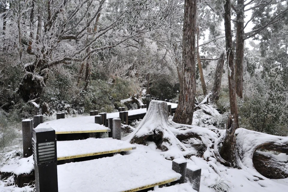 Taipingshan National Forest Recreation Area: Entry Ticket
