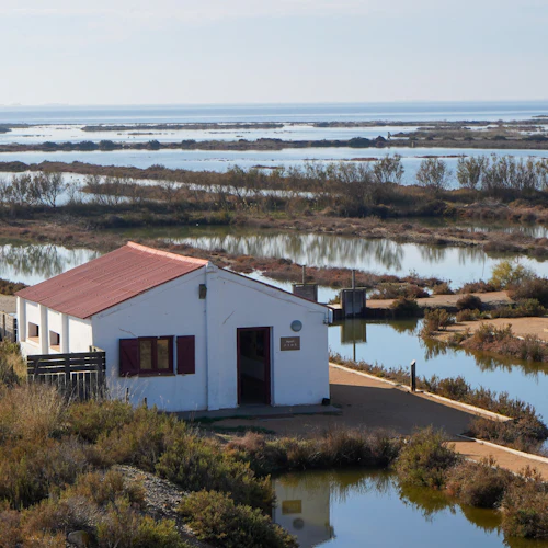 MónNatura Ebro Delta: bilhete de entrada - Photo 19
