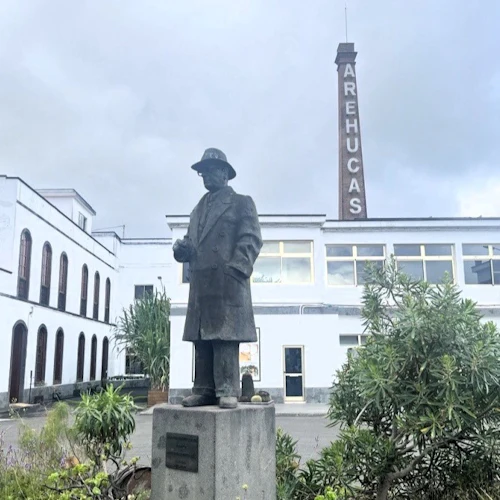 Gran Canaria: Guided Day Tour from Tenerife + Aquarium & Distillery Entry - Photo 6