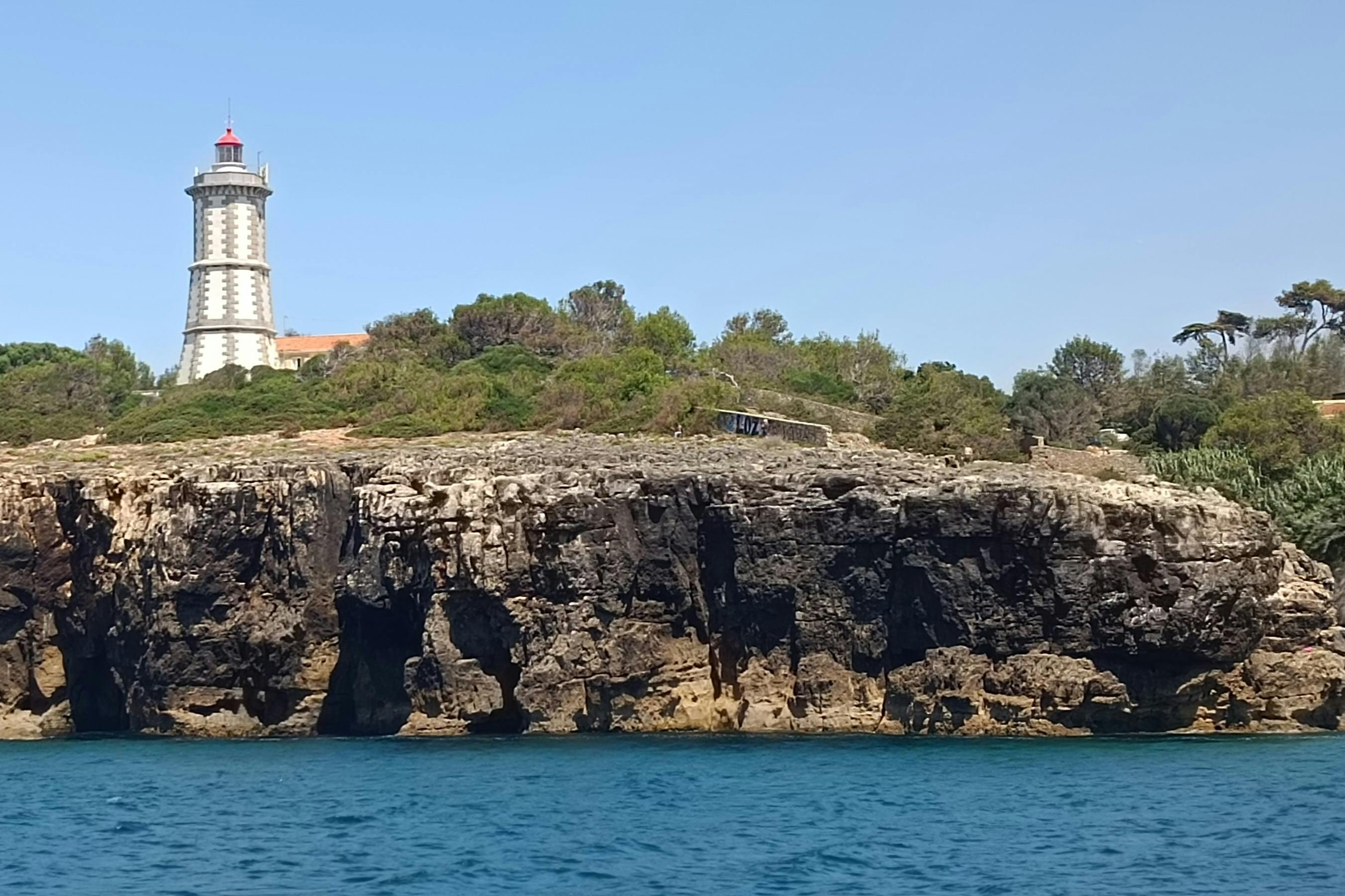 澄んだ青い空の下、水域から見える白い灯台と植物が生い茂る岩だらけの海岸線。