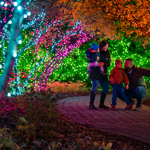 Jardim zoológico de Toledo: Bilhete de entrada para as Luzes antes do Natal - Photo 3