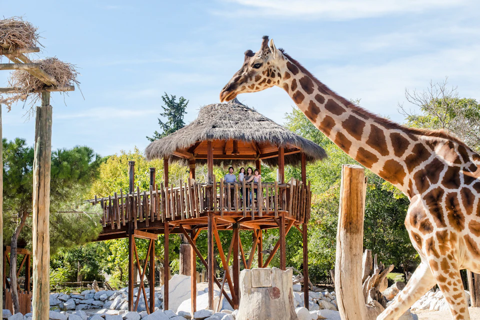 Madrid Zoo