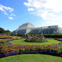 Kew Gardens: Entry Ticket