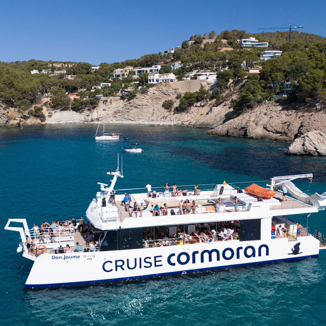Mallorca: Dolphin Watching Cruise from Paguera