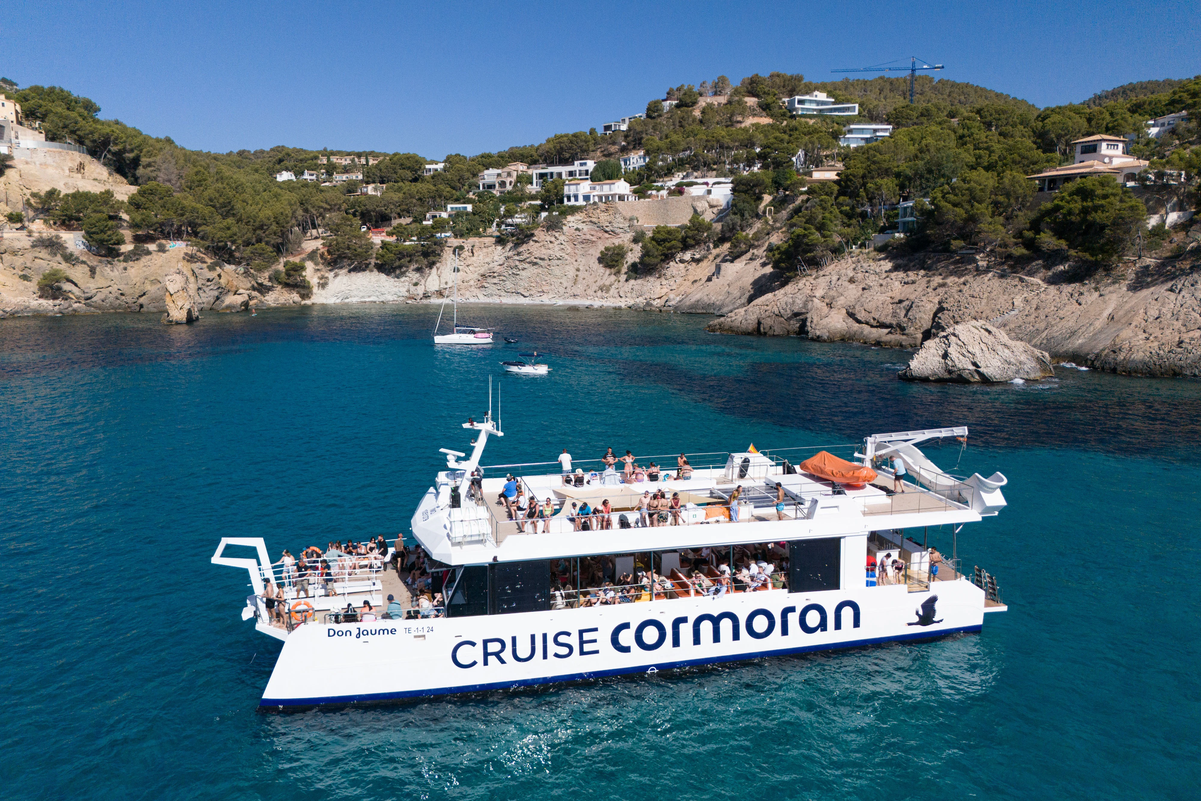 Mallorca: Dolphin Watching Cruise from Paguera