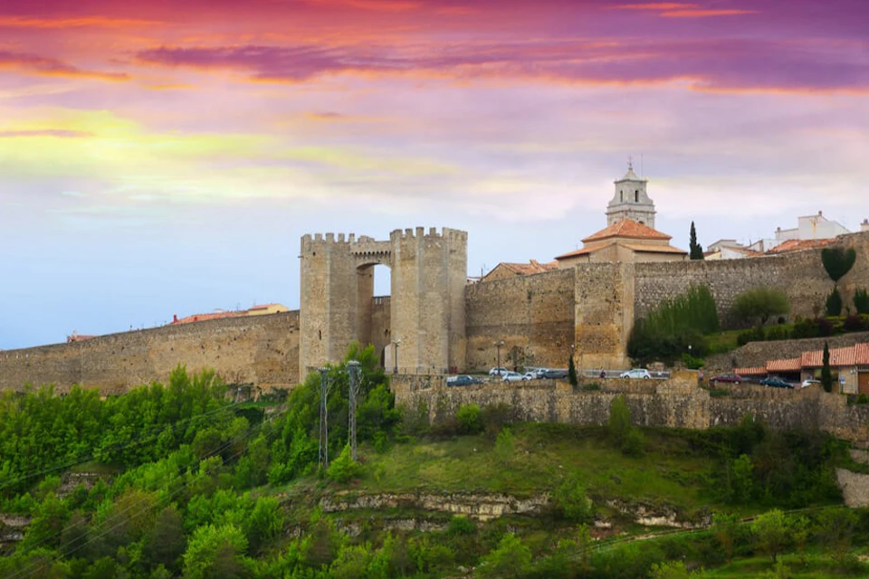 Morella