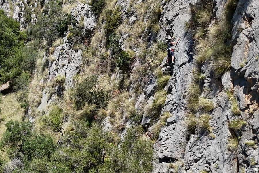 Un grimpeur escalade une falaise rocheuse et herbeuse à l'aide d'un harnais et d'une corde, entouré d'une végétation dense et d'un terrain accidenté.