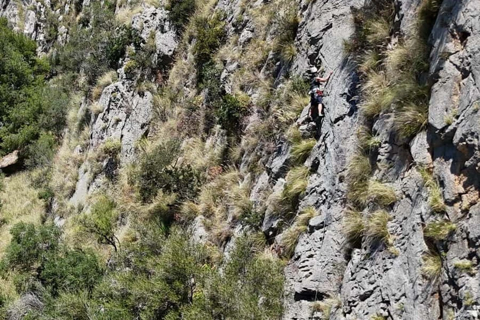 A climber ascends a rocky, grassy cliff with a harness and rope, surrounded by dense greenery and rugged terrain.