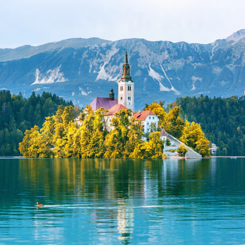 Canyoning Lake Bled Slovenia - Free Photos and Videos