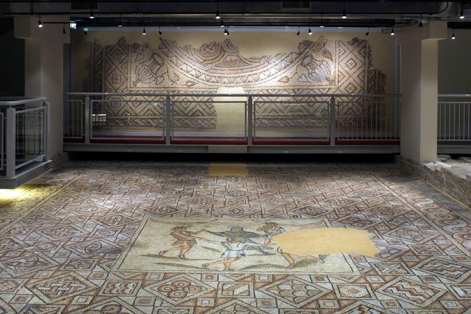 The mosaics on the floors of the domus