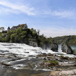 Rhine Falls & Schloss Laufen: Guided Tour + Transfers 4