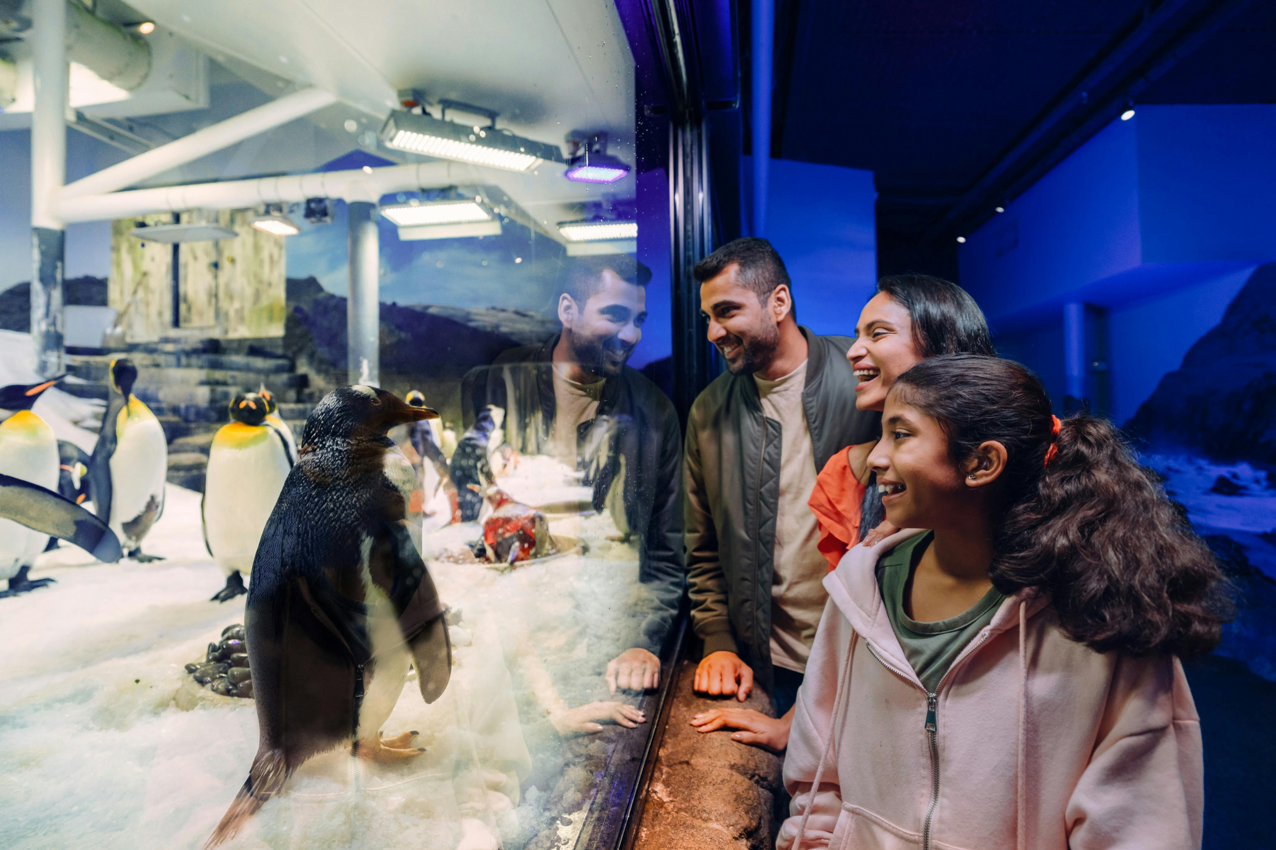 SEA LIFE Sydney Aquarium: Entry Ticket - Photo 4