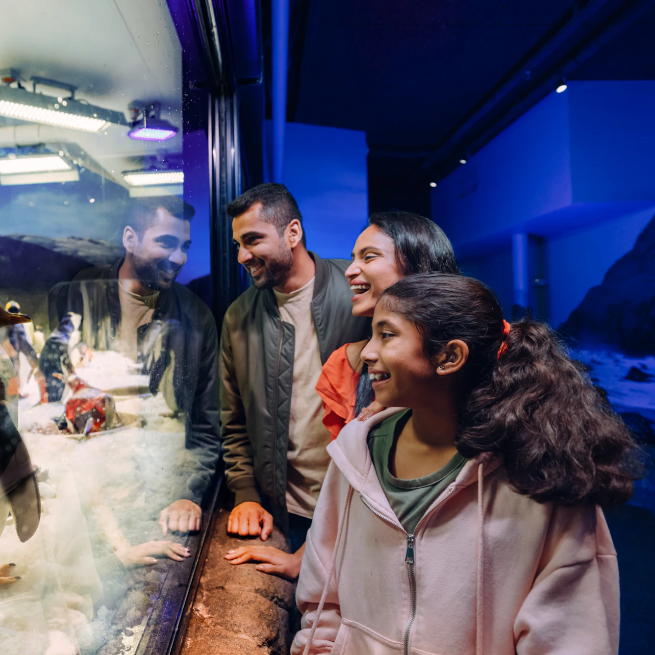 SEA LIFE Sydney Aquarium: Entry Ticket in Sydney β Tiqets