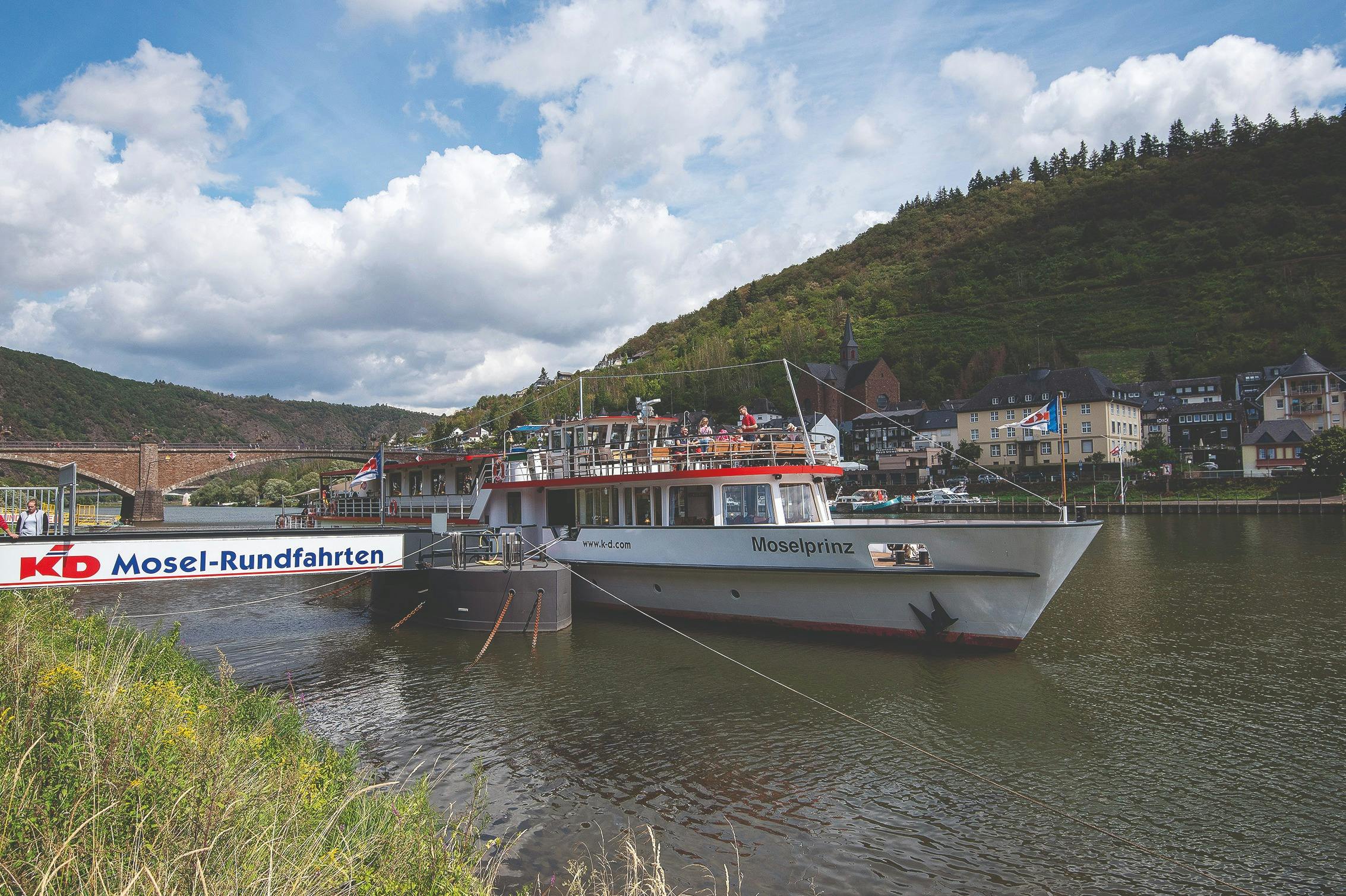 Cochem: Moselle River Panoramic Cruise