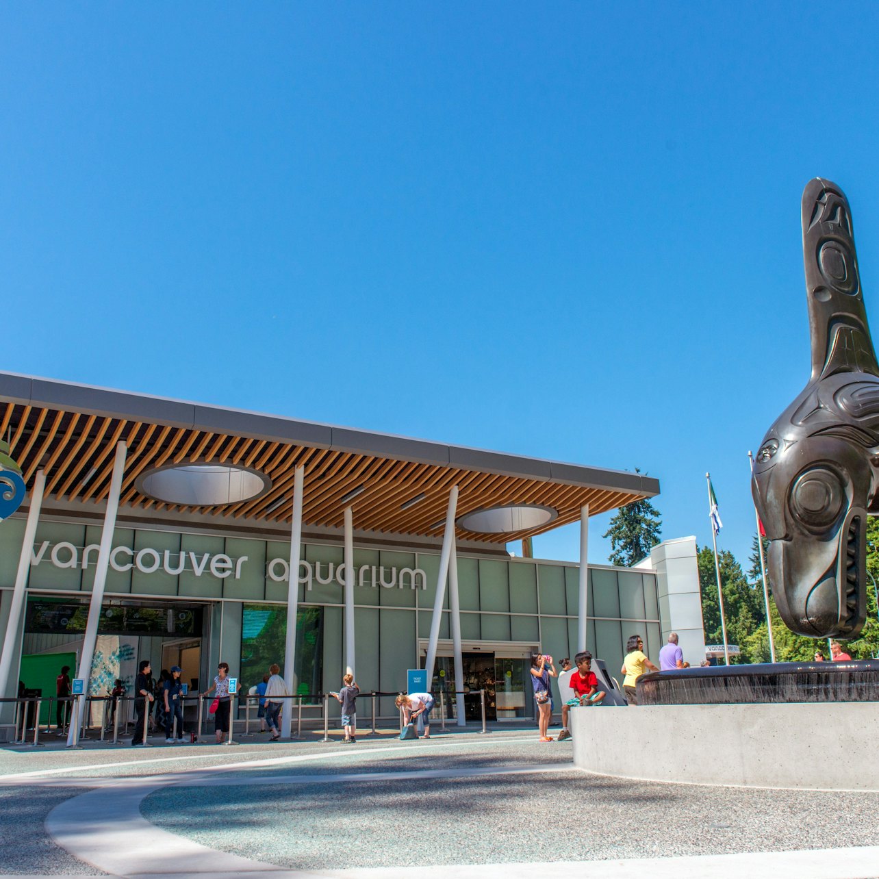 Vancouver Aquarium: Entry Ticket - Accommodations in Vancouver