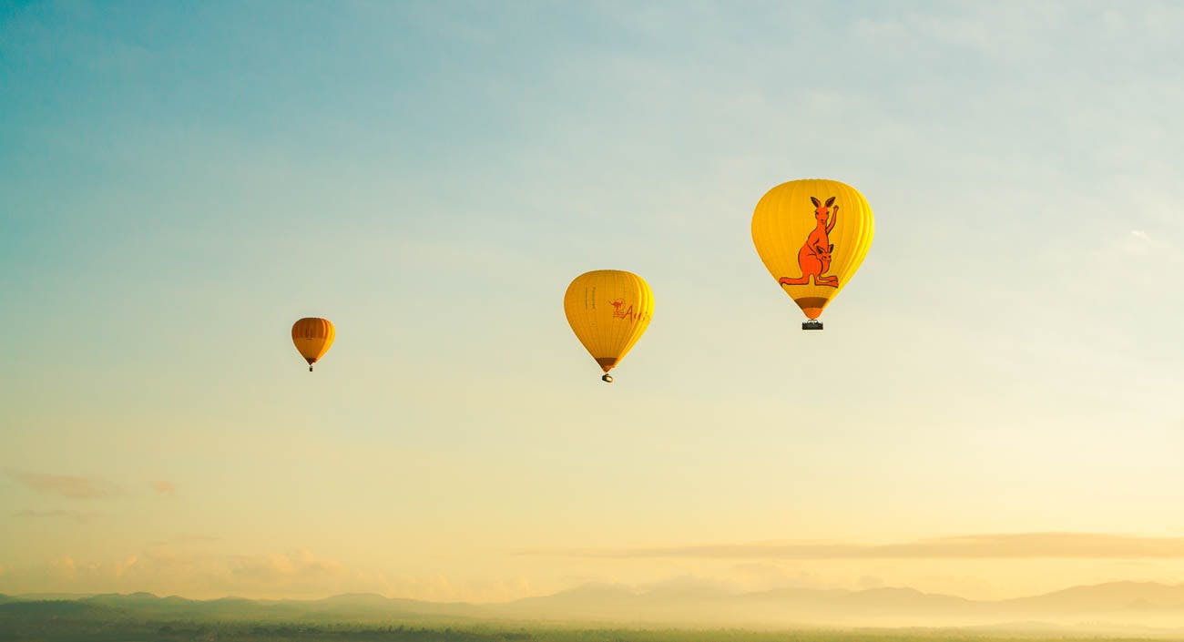Three yellow hot air balloons with kangaroo illustrations floating in the sky against a hazy landscape background.