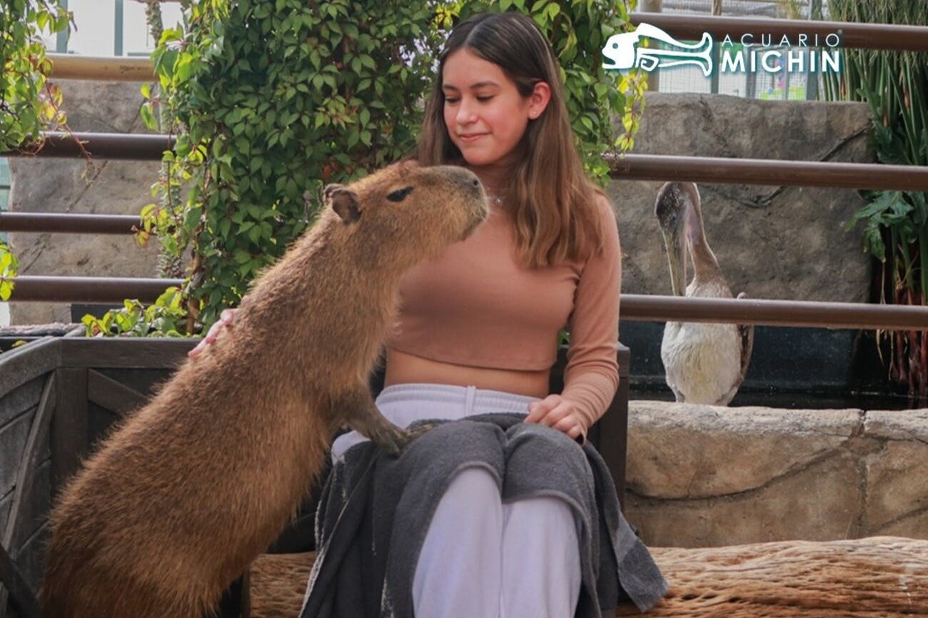 Michin Aquarium Puebla