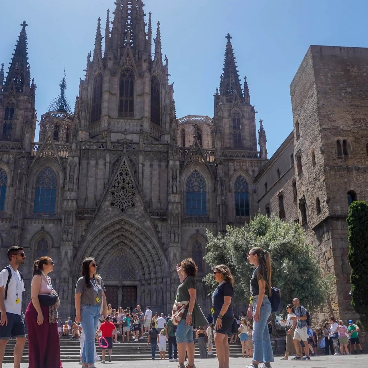 Barcelona Cathedral: Guided Tour