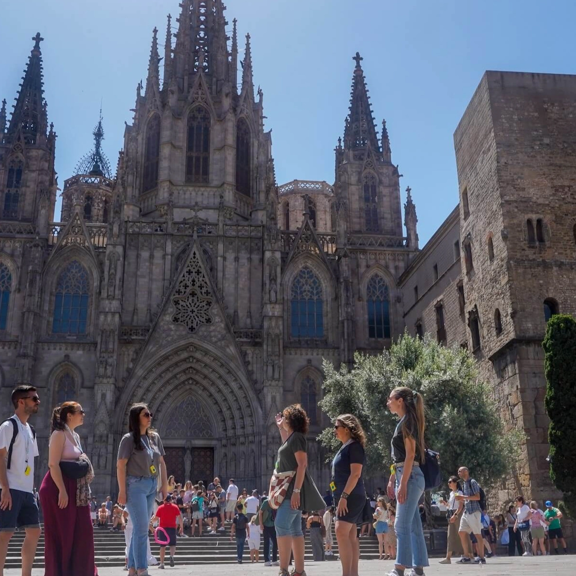Catedral de Barcelona: Visita guiada
