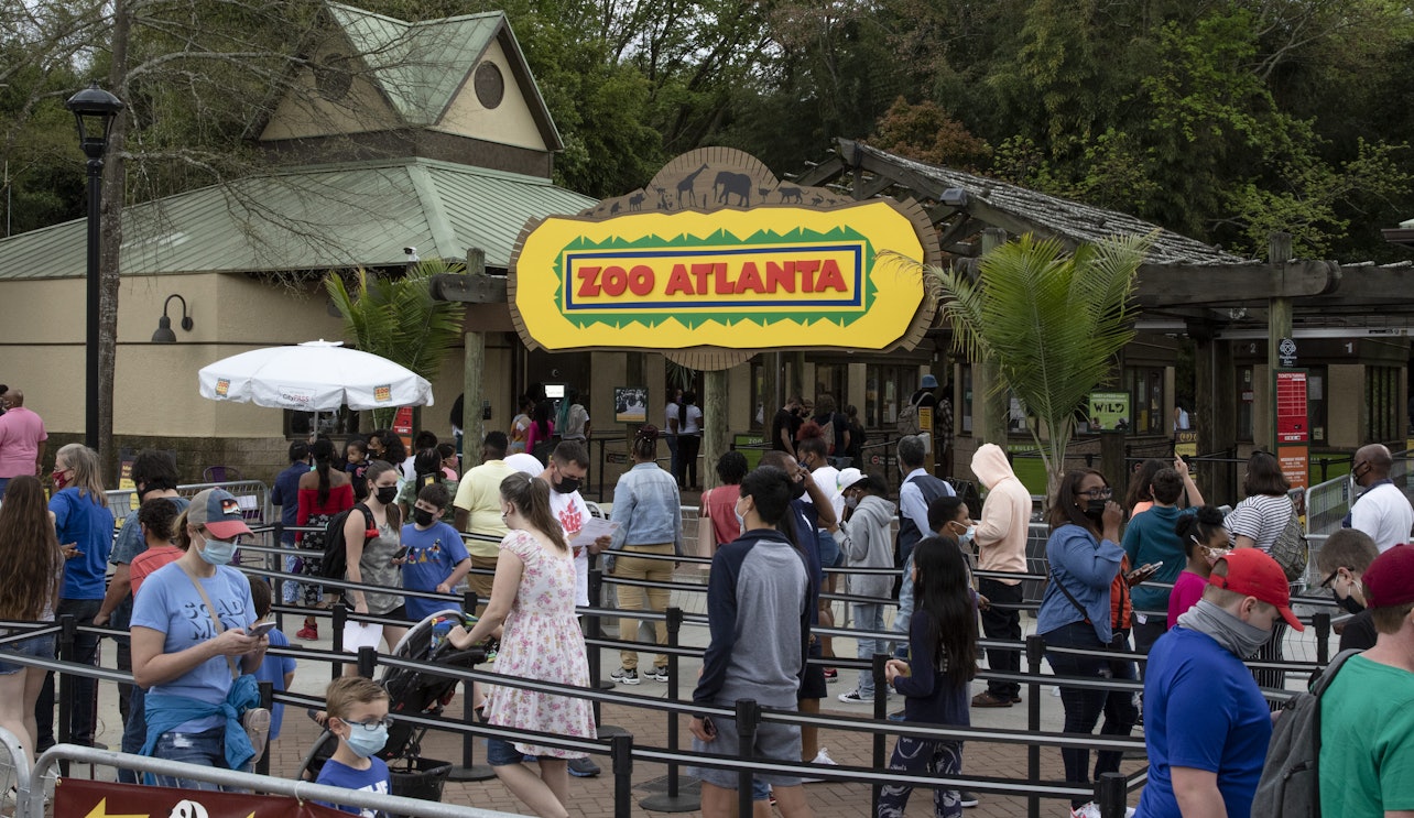 Zoo Atlanta: Biglietto d'ingresso - Alloggi in Atlanta, Georgia