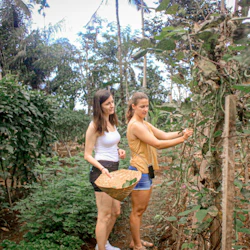 Balinese Organic Cooking Class on Farm & Market Visit in Ubud 2