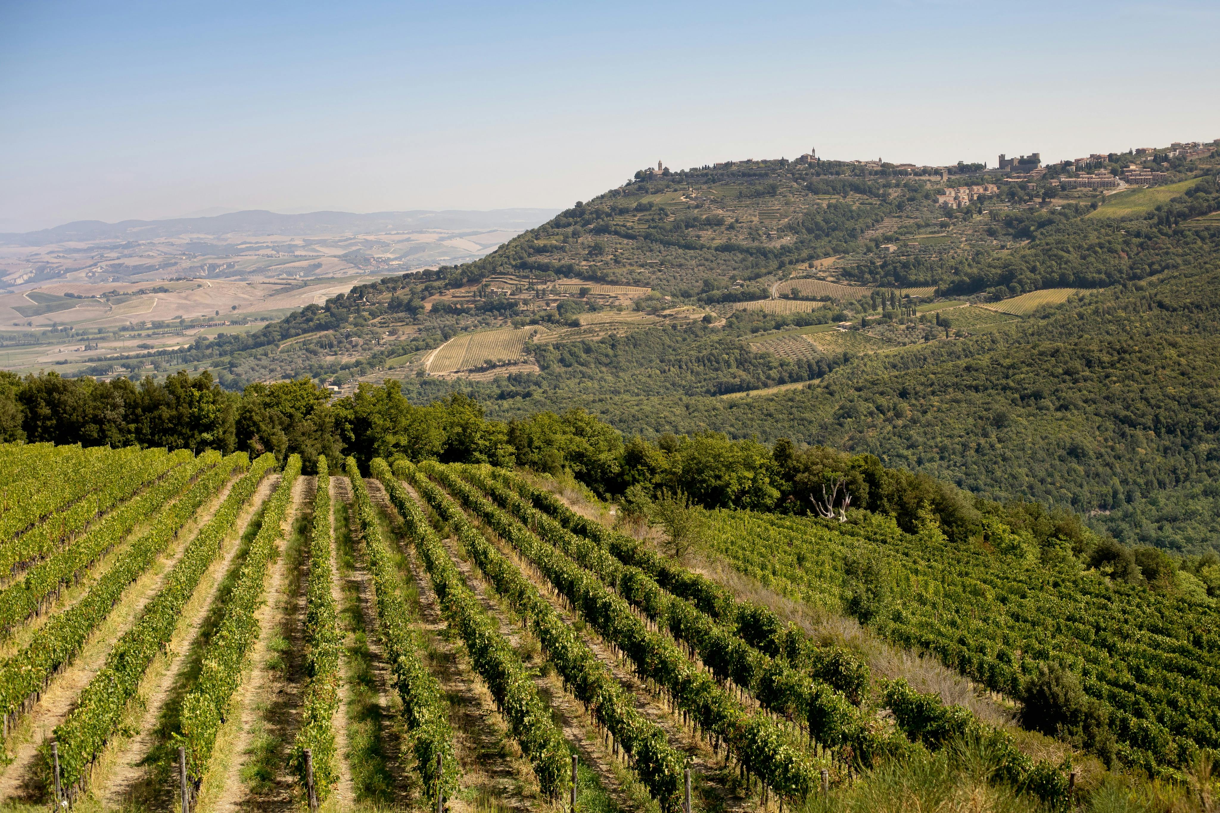 葡萄酒小镇蒙塔尔奇诺美景