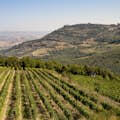 View of wine town Montalcino