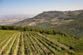 Výhled na vinařské městečko Montalcino