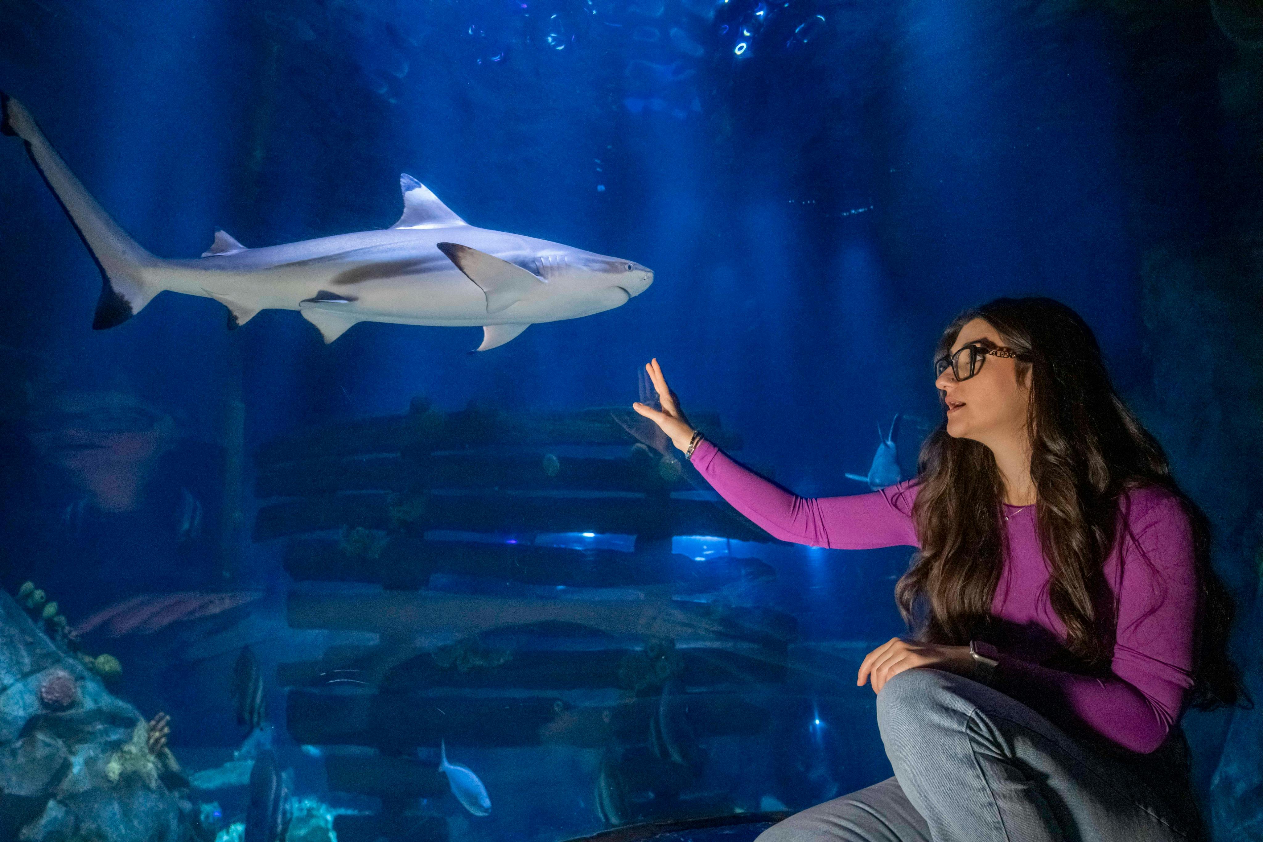 足を組んで座っているピンク色の服を着た女性が、青い光に照らされた水族館のサメに向かって手を伸ばします。