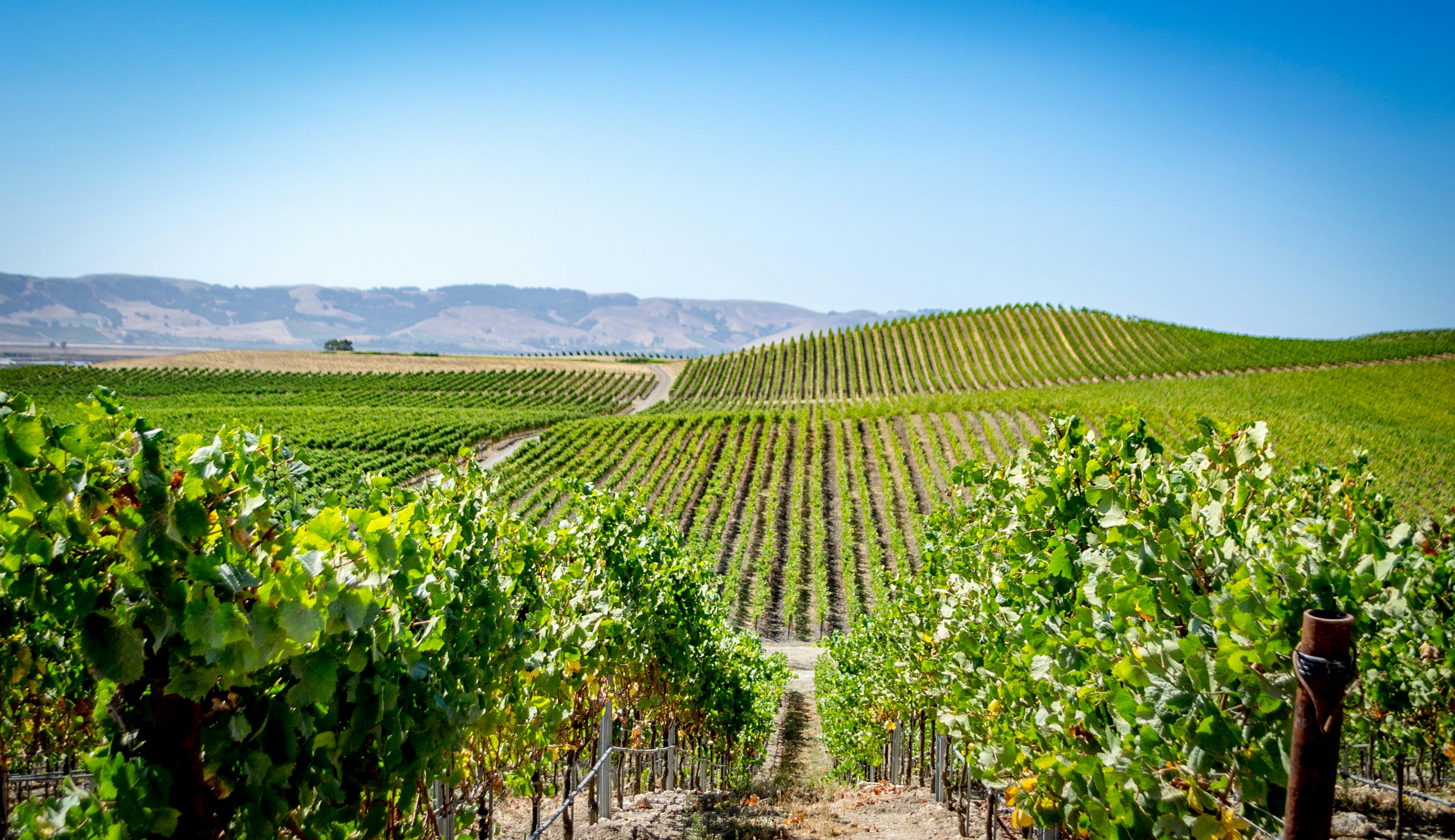 Napa Valley, San Francisco Book Tickets, Tours More