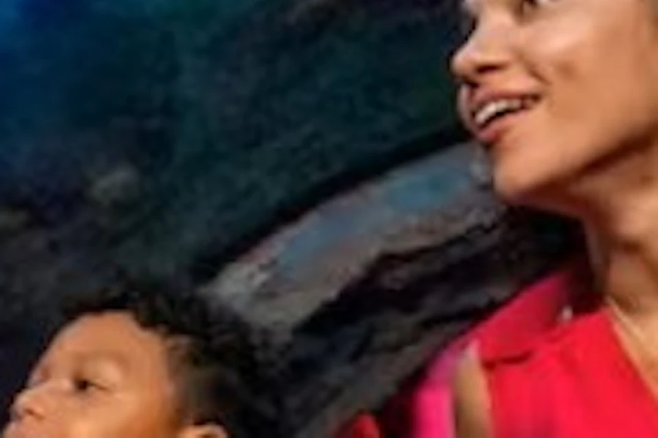 A woman and a child observe aquatic animals through a curved glass tunnel in an aquarium setting.