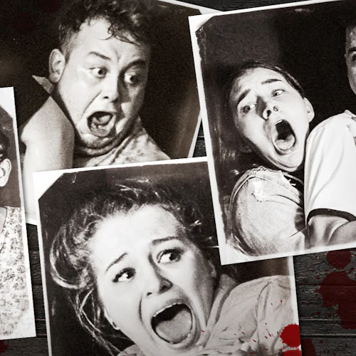 Besökarnas ansikten