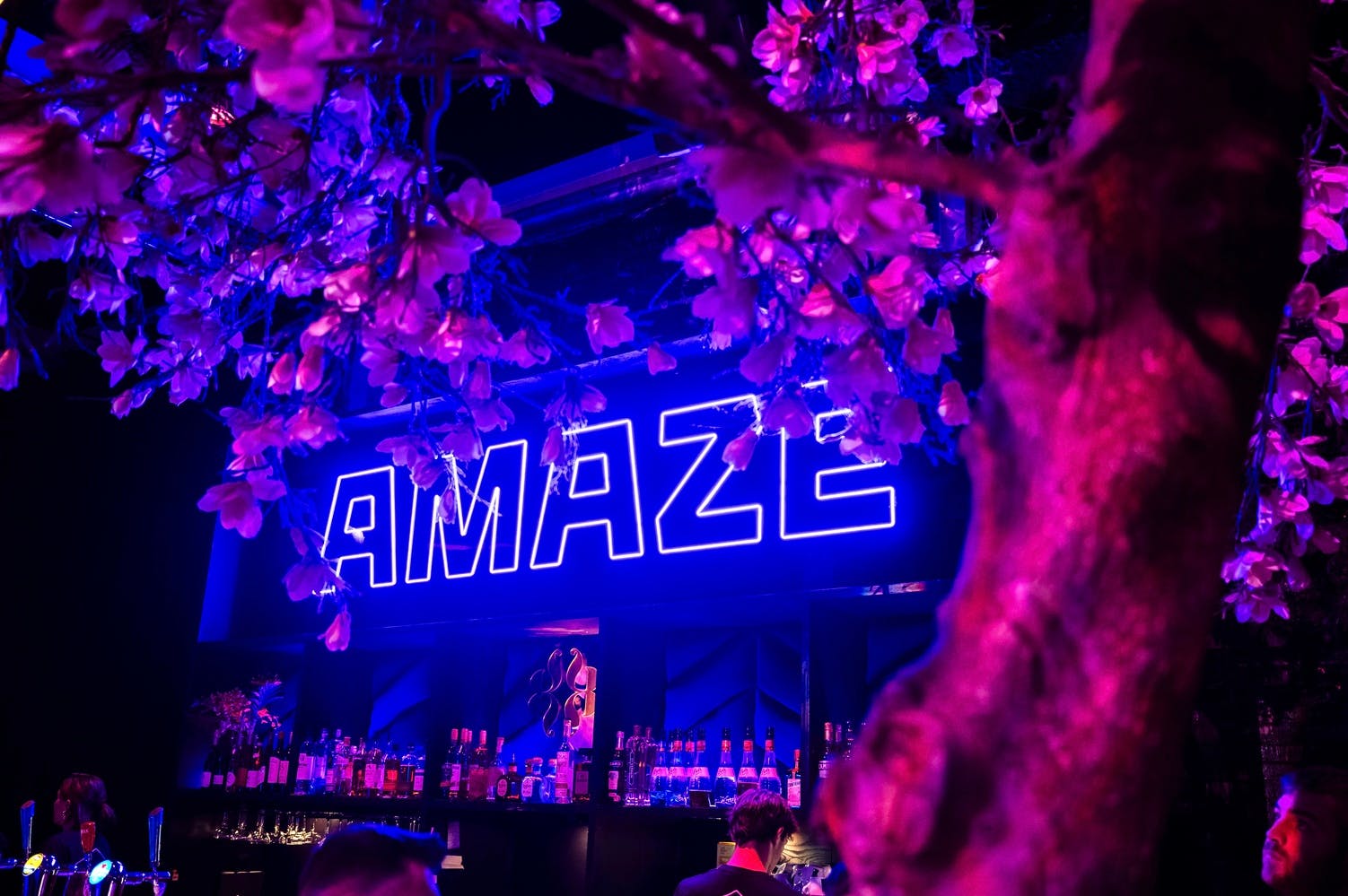AMAZE: The Immersive Experience