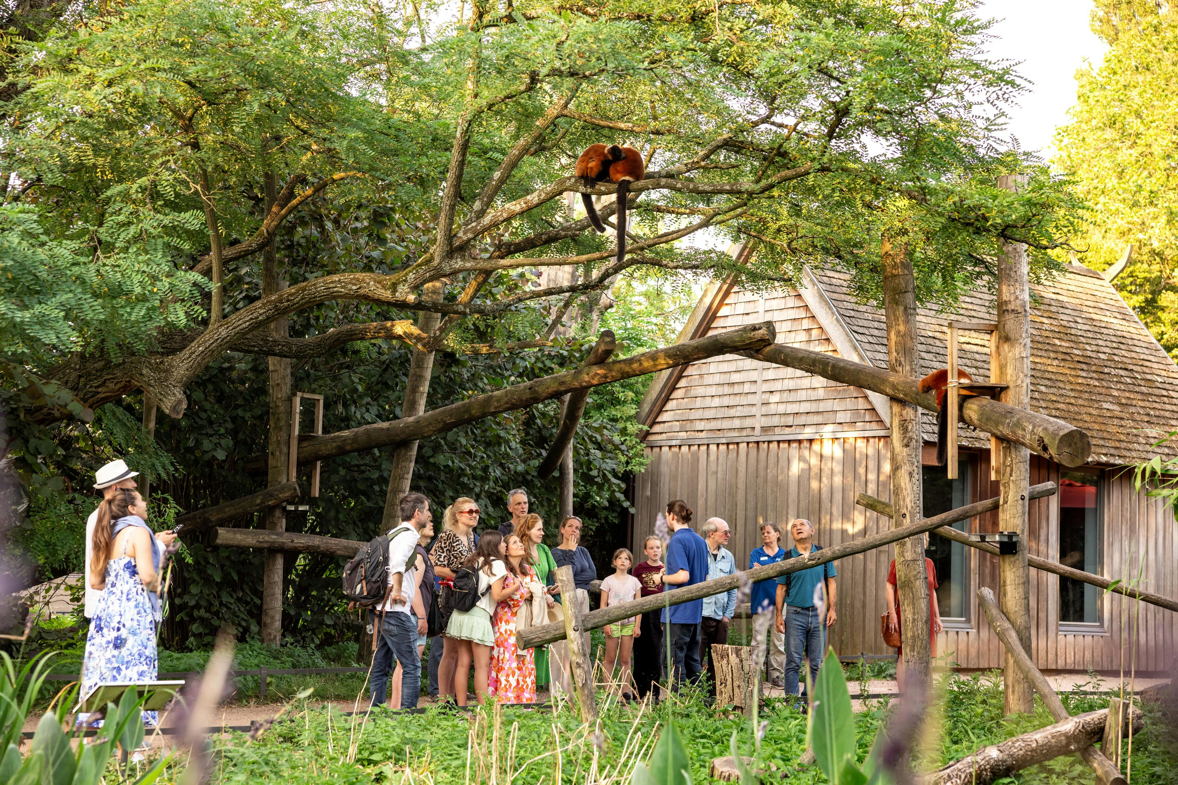 컬투어 페리와 함께하는 아르티스 투어