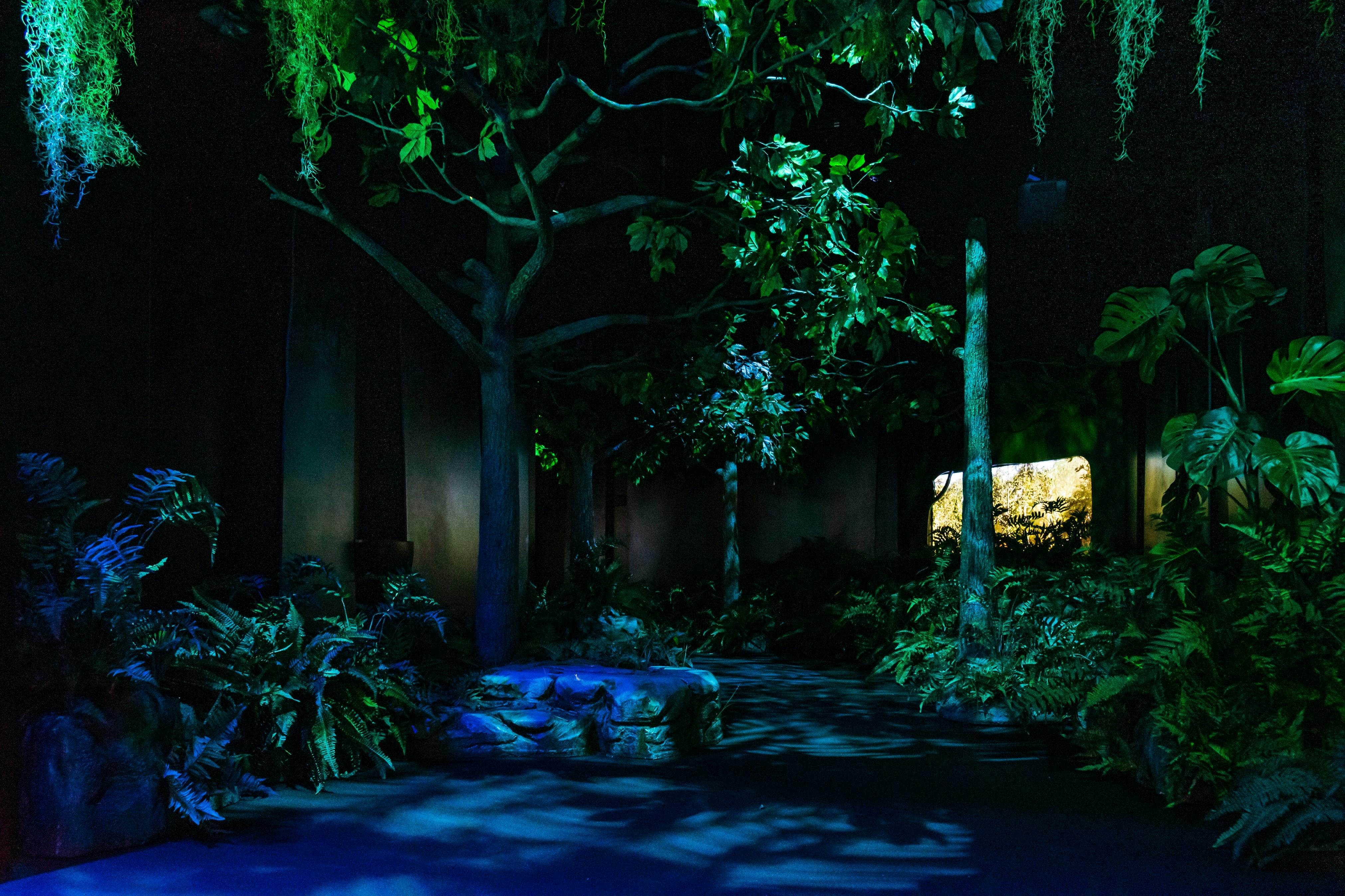 Melbourne Museum Victoria the T. Rex