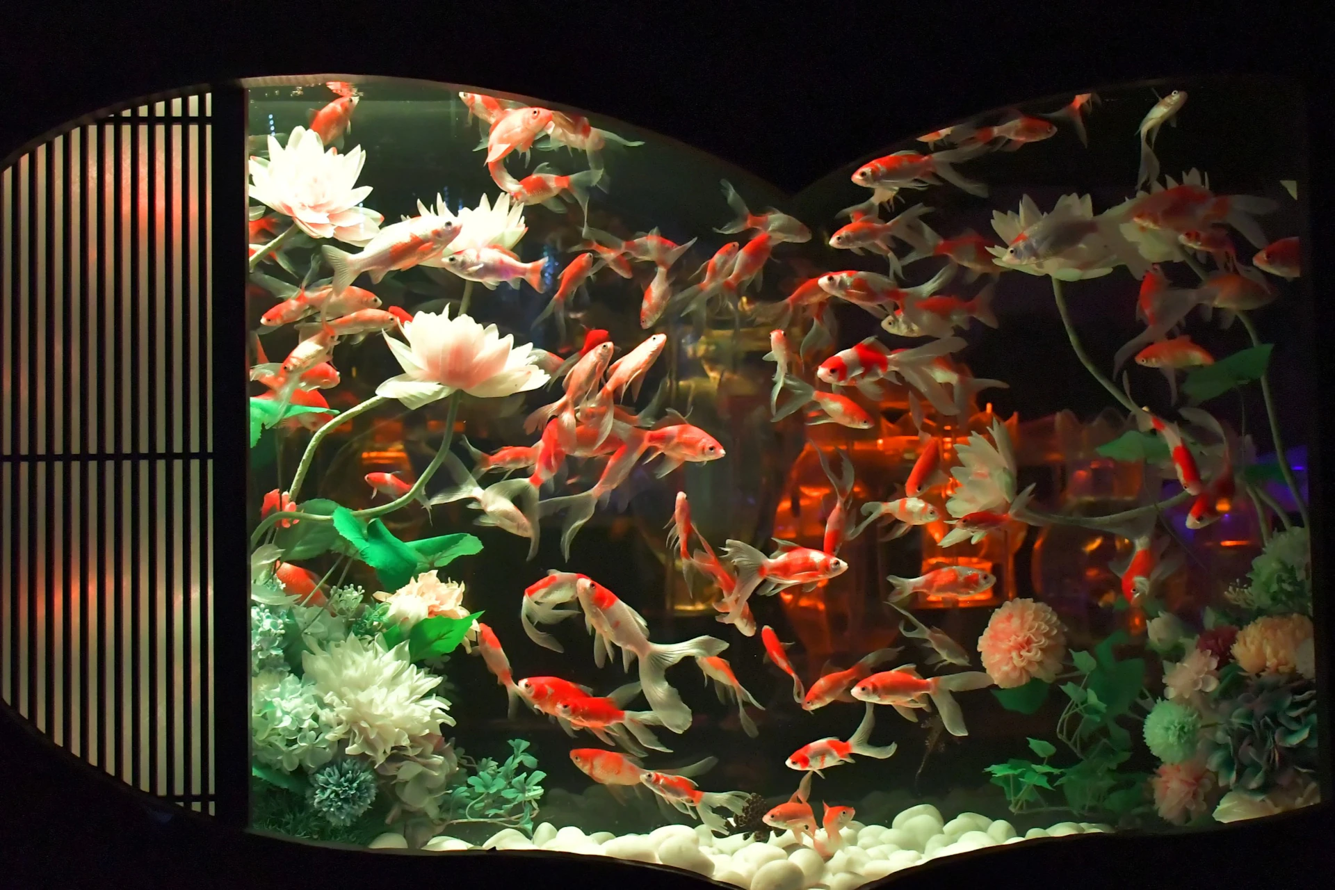 A decorative fish tank featuring numerous orange and white fish, aquatic plants, and white pebbles under calm lighting.