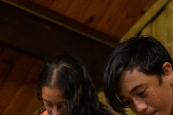 Agrodome Rotorua ：农场表演+参观门票 | 在线预订