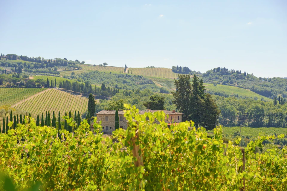 Chianti wine region