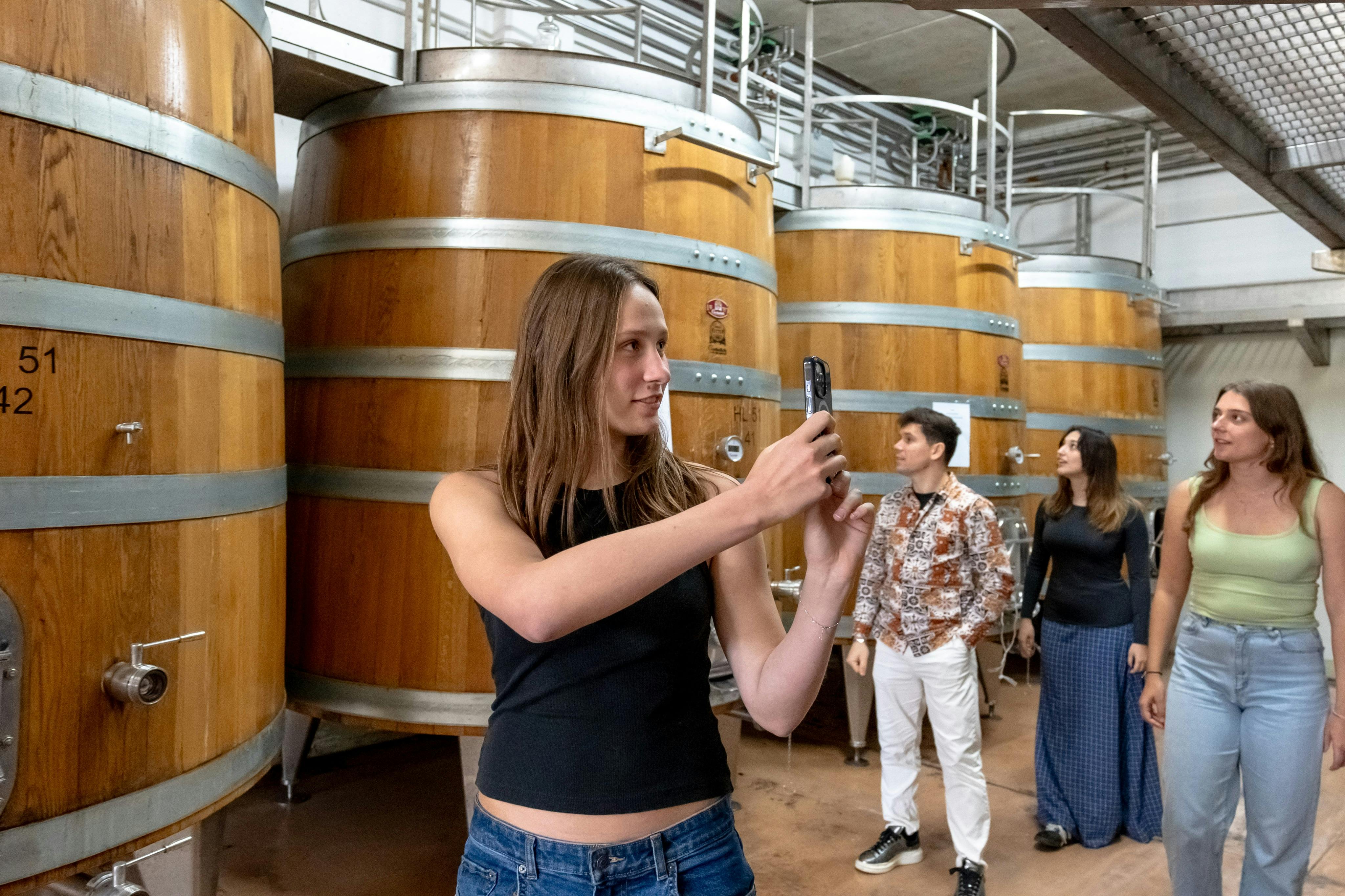 Siena, Chianti & San Gimignano: Day Tour from Florence + Winery Visit + Lunch 5