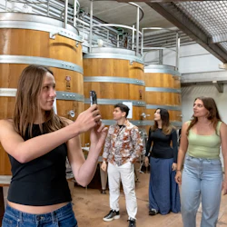 Siena, Chianti & San Gimignano: Day Tour from Florence + Winery Visit + Lunch 5