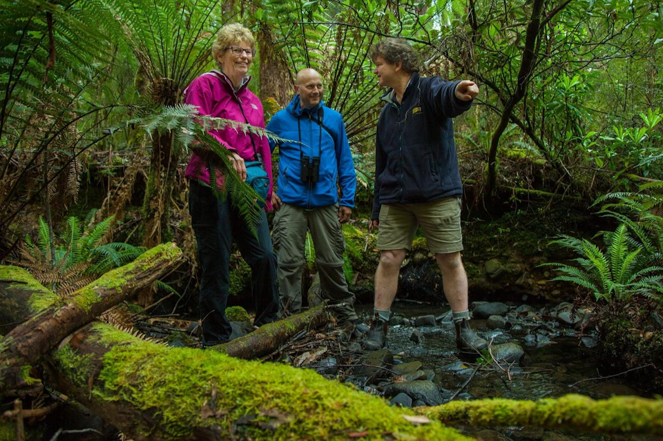 Three people in outdoor clothing standing in a lush forest, one pointing ahead while others listen. Logs and greenery surround them.